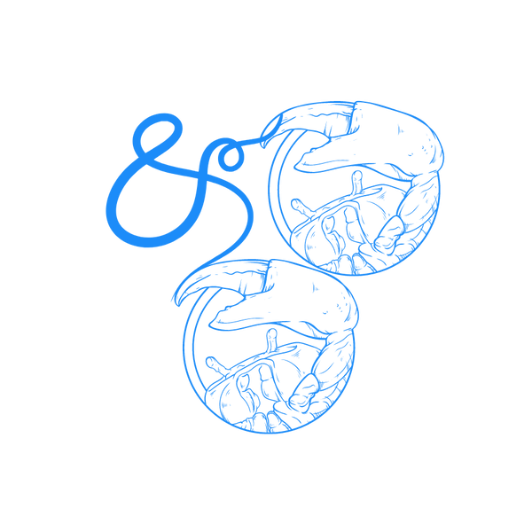 Los signos del zodíaco Cáncer y Cáncer