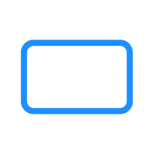 Certificado sustitutivo